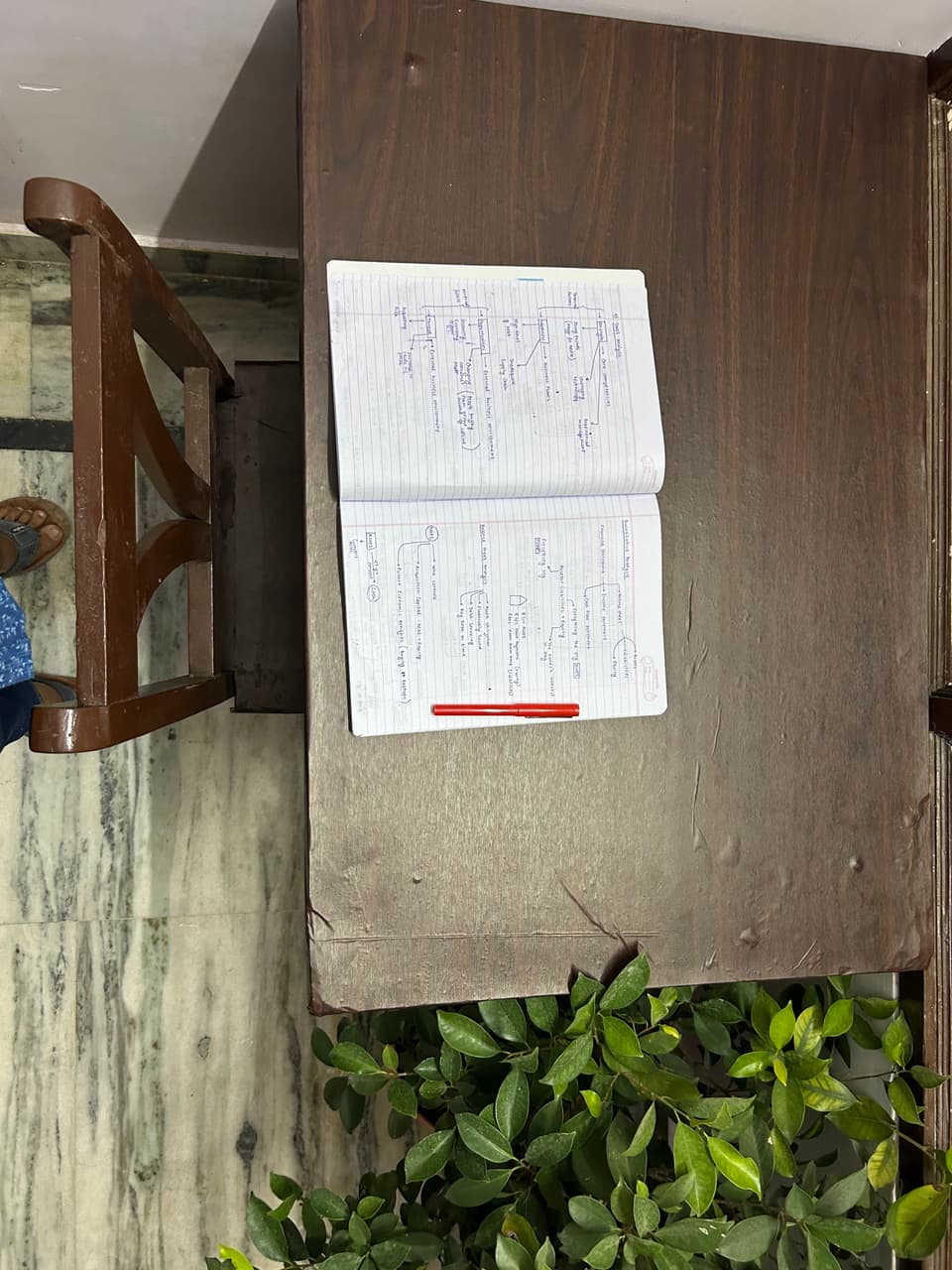 Study table surface beside indoor plants.