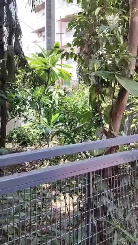 Compact solo walkthrough poster